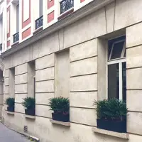 Maxifleur Kunstplanten Raphis kunstplant 60cm - UV bestendig