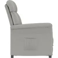 vidaXL Fauteuil Lichtgrijs Microvezel