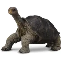 Collecta Wilde Dieren Galapagosreuzenschildpad 8.1 x 5 cm