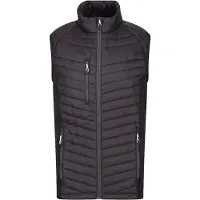 Regatta Heren Navigate Gewatteerd Hybride Gilet (Marine/Seal Grijs)
