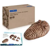 Guidecraft magnetische fossiel 3D puzzel trilobiet speelgoed.