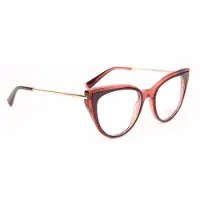 Ana Hickmann Optical Frame HI6320 G21 52