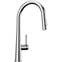 CECIPA MAX Uittrekbare Keukenkraan - Chroom - 2 Straalstanden - 40 cm Uittrekbereik - Handdouche met Slang - 360° draaibare