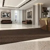 Floordirekt Vuilvangmat Hong Kong - Veelzijdig Inzetbaar - Antislip - Bruin - 100 x 300 cm - Stevig & Onderhoudsvriendelijk voor Binnen & Entree