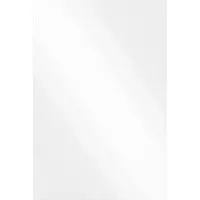 vidaXL Wandspiegel Rechthoekig 50 x 80 cm gehard glas