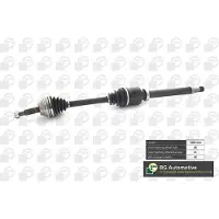 BGA DS2342R Aandrijfas