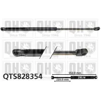 Quinton Hazell QTS828354 Gasveer motorkap
