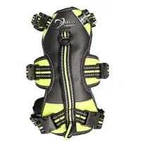 Axaeco Broad Peak Harness Maat S 48-63cm