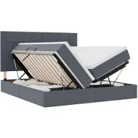 vidaXL LED opbergbed met matras Donkergrijs 200 x 200 cm Fluweel