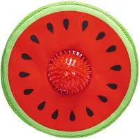Beeztees Neopreen Hondenspeeltje Meloen Spikie 25 x 8 x 8 cm