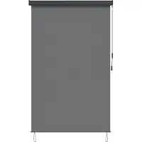 vidaXL Rolgordijn Lichtgrijs 100 x 250 cm Stof en Aluminium