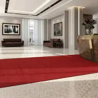 Floordirekt Vuilvangmat Hong Kong - Veelzijdig Inzetbaar - Antislip - Rood - 100 x 300 cm - Stevig & Onderhoudsvriendelijk voor Binnen & Entree
