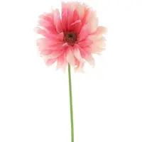 Erutan avon - Gerbera spray Lotte pink 76 cm