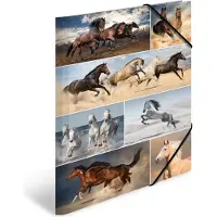 Herma 19217 map Karton Multi kleuren A3