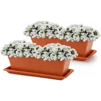 PlasticForte Plantenbakken met water opvangschotels - terracotta - 2x stuks - 60 x 20 x 15 cm - tuin - balkon - terras - rechthoek