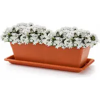 PlasticForte Plantenbak met water opvangschotel - terracotta - rechthoek - 60 x 20 x 15 cm