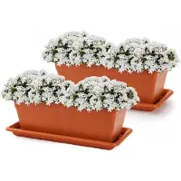 PlasticForte Plantenbakken met water opvangschotels - terracotta - 2x stuks - 50 x 18 x 15 cm - tuin - balkon - terras - rechthoek