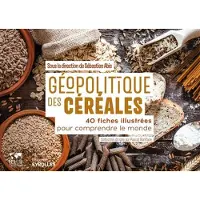 Eyrolles GEOPOLITIQUE DES CEREALES 40 FICHES ILLUSTREES POUR COMPREND