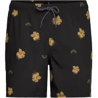 Rip Curl Sessions Zwembroek