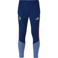 Adidas Sportbroek 'FC Bayern München 26/27' opaal / donkerblauw / goud / vuurrood