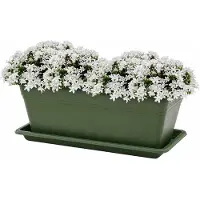 PlasticForte Plantenbak met water opvangschotel - donkergroen - rechthoek - 50 x 18 x 15 cm - balkon - terras - kunststof