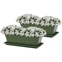 PlasticForte Plantenbakken met water opvangschotels - donkergroen - 2x stuks - 60 x 20 x 15 cm - tuin - balkon - terras - rechthoek