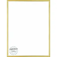 Homedecoration Almelo – Fotolijst – Fotomaat – 37 x 72 cm – Goud Glans