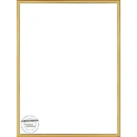 Homedecoration Almelo – Fotolijst – Fotomaat – 45 x 91 cm – Vintage Goud