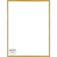 Homedecoration Almelo – Fotolijst – Fotomaat – 35 x 47 cm – Vintage Goud