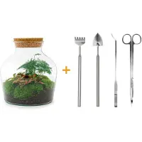 Urbanjngl Terrarium - Little Joe - ↑ 21,5 cm - Ecosysteem plant - Kamerplanten - DIY planten terrarium - Mini ecosysteem - Inclusief Hark + Schep + Pincet + Schaar