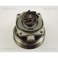 TRISCAN 8600 10006 Waterpomp
