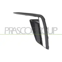 PRASCO MG2002134 Ventilatiegrille, bumper