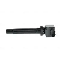 Nissens 966248 Bobine