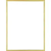 Homedecoration Almelo – Fotolijst – Fotomaat – 35 x 73 cm – Goud Glans