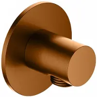 Hotbath Ace AC517 wanduitlaat geborsteld koper PVD