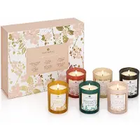 WDMT Luxe geurkaarsen set van 6 – cadeauverpakking – geurkaarsen in gekleurd glas –