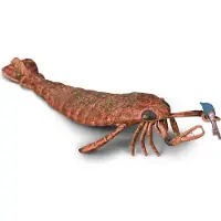 Collecta Figurine - Jaekelopterus - (Xl) - Prehistorie - Handgeschilderd - Miniatuur