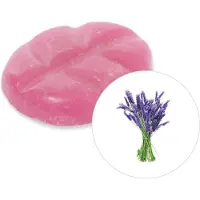 Scentchips Lavendel - Geurblokjes - Huisparfum - Geurchips - Waxmelts - Geschikt voor Geurbrander en Waxbrander - L - 26 Stuks