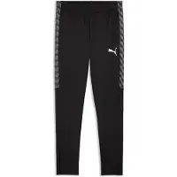 Puma teamLIGA26 Trainingsbroek Zwart