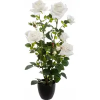 Atmosphera Kunstplant rozenstruik Velvet - H74cm - Roze of wit
