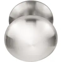 Formani Basics LB65V voordeurknop vast op rozet - PVD mat RVS