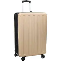vidaXL Koffer met slot, champagnekleurig, 50 x 30 x 76 cm, ABS-kunststof