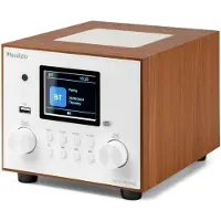 Audizio Vieste DAB radio met subwoofer - Digitale radio met Bluetooth