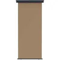 vidaXL Balkon Zij Zonnescherm 60 x 250 cm 100% polyester, ijzer, staal