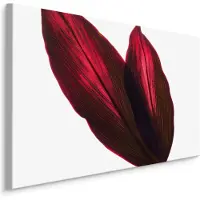 Karo-art Schilderij - Rode Bloem Bladeren, 5 maten, Premium print