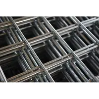 Intergard Gaaspanelen draadmatten gaasmat RVS 180x180cm 4/100mm