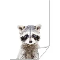 PosterMonkey Poster Wasbeer - Dieren - Natuur - Wit - 60x90 cm