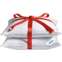 AltijdGoedSlapen Hoofdkussen set (2) Ariane 15% dons 1000 gram 60x70 cm
