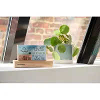 Thomson Wecker weerstation - - Hout licht - Temperatuurweergave, Luchtvochtigheid, Dubbele alarm, USB-C, Draadloze sensor