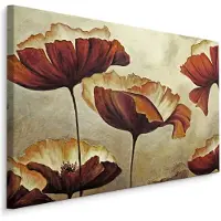 Karo-art Schilderij - Prachtige Vintage Klaprozen , Wanddecoratie , Premium print